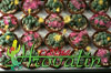 Conophytum-