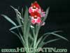 Miltonia peach blossom-Miltonija hibrid