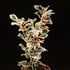 Ilex aquifolium-Bodika, božje drevce