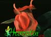 Anthurium scherzerianum - Mali flamingovec